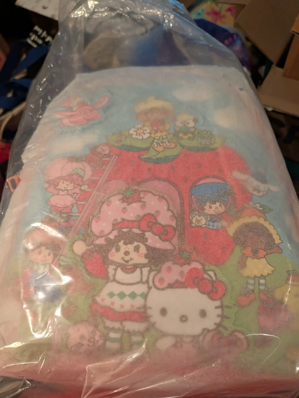 Loungefly Strawberry Shortcake Red & White Collectible